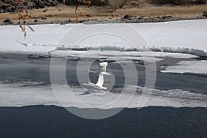 The cranes fly on the frozen river, unknown steppe, Ovorkhangai, Mongolia.