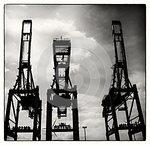 Cranes in Hamborg habour