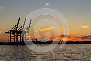 Cranes at Hamburg Harbour at Sunset