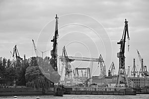 Cranes at Hamburg port