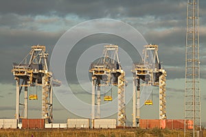 Cranes in harbor