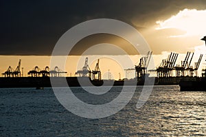 Cranes in a harbor at sunset