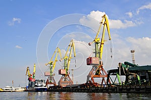 Cranes in harbour