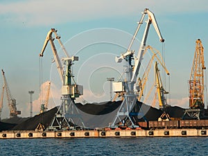 Cranes in harbour