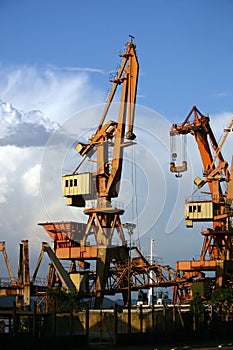 Cranes in the harbour