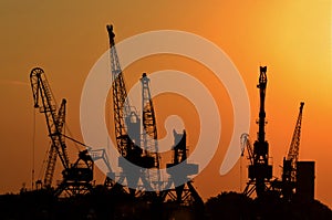 Cranes for loading containers onto freighters or cargo ships in the port at sunset