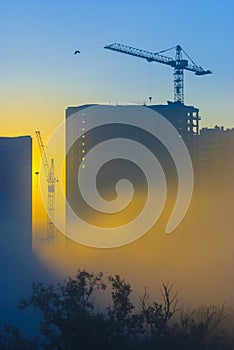 Cranes over new buildings in the early foggy morning.