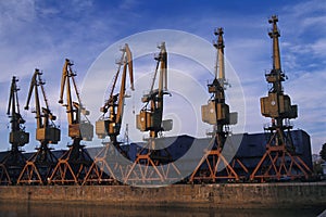Cranes at Puerto Madero photo