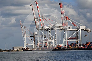 Cranes for Ship loading at port in Fremantle Perth