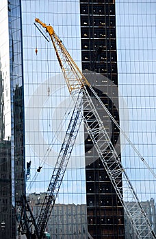 Cranes with skyscraper background