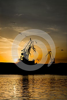 Cranes at Sunset in Harbor of Pula in Croatia