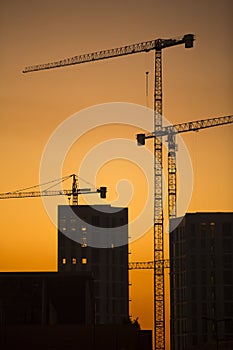 Cranes at sunset. Industrial construction cranes and building silhouettes over sun at sunrise. In vertical format.