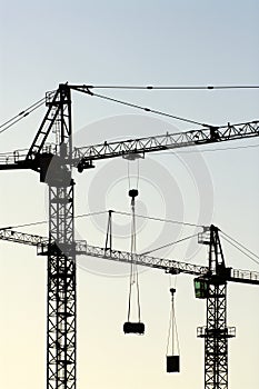 Cranes vertical