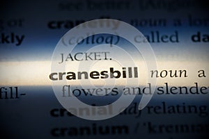 Cranesbill