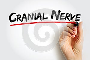 Cranial Nerve are a set of 12 paired nerves in the back of your brain, text concept background