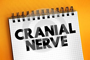 Cranial Nerve are a set of 12 paired nerves in the back of your brain, text concept on notepad