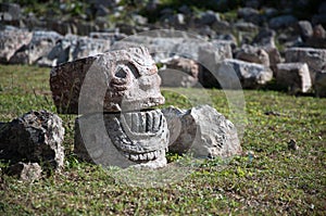 Cranium of stone photo
