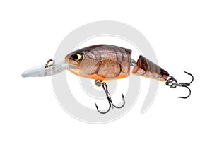 Crankbait photo