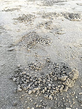 Cranny of wind crab.