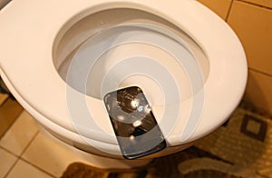 Crashed black smartphone in lying on the water-closet seat lid. Broken lcd touch screen in the bathroom. Information technology