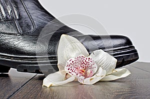 Crashed flower by shoe on the wooden floor