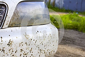 Crashed insect on car bumper and radiator. Crush the mosquitoes and gnats at the front of the vehicle