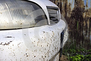 Crashed insect on car bumper and radiator. Crush the mosquitoes and gnats at the front of the vehicle