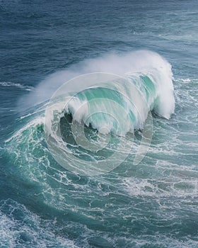 Crashing Wave in the Ocean