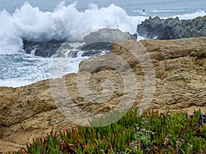 Crashing Waves on Rocks Pacific Ocean