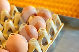 Crate with fresh eggs on top of a conveyor belt