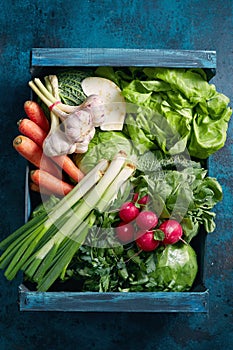 Crate of fresh organic vegetables