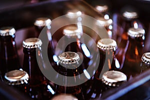 Crate of Freshly Bottled Beer