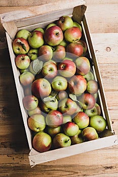 Crate full of apples