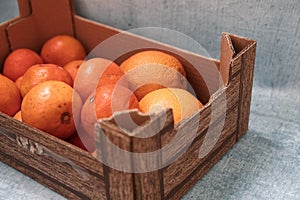 Crate full of oranges and clementines