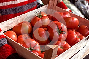Crate full of raw fresh tomatoes