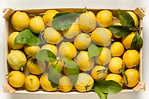 Crate of lemons