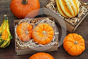 Crate and many different pumpkins on wooden table