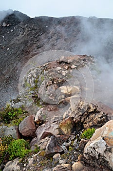 Crater of active volcano Yzalco photo
