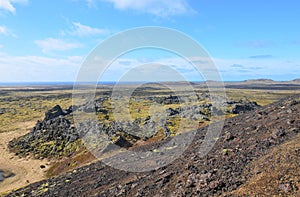 Crater Filled With Old Lava Rock and Moss in Iceland