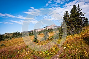 Crater lake trail