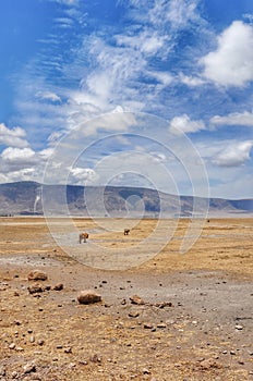 Crater Ngoro Ngoro