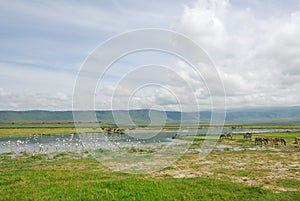 Crater Ngorongoro