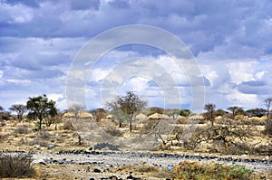 Crater Ngorongoro photo