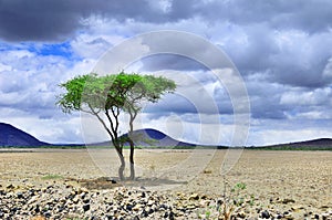 Crater Ngorongoro photo
