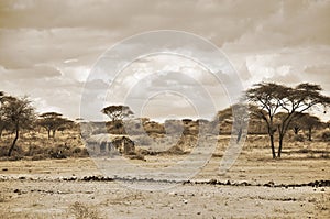 Crater Ngorongoro photo