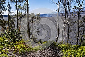 Crater rim trail woodlands and halemaumau