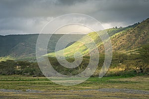 Crater slopes and wildlife meadow of Ngorongoro Conservation Area. Safari concept. Tanzania. Africa photo