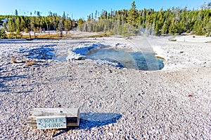 Crater Spring at Norris Geyser Basin in Yellowstone National Park