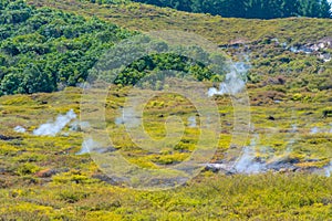 Craters of the moon - a geothermal landscape at New Zealand