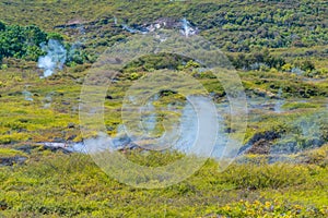 Craters of the moon - a geothermal landscape at New Zealand